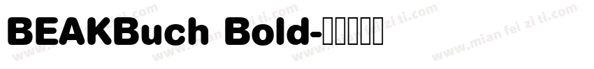 BEAKBuch Bold字体转换